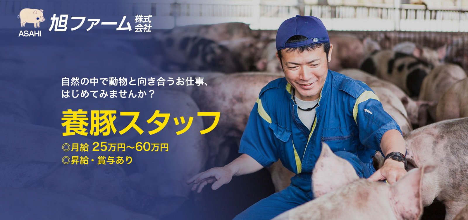 鹿児島県薩摩郡 / 養豚飼育員の求人情報